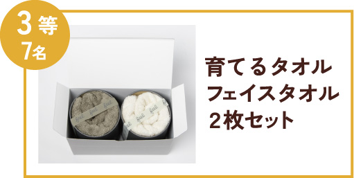3等7名 育てるタオル フェイスタオル 2枚セット