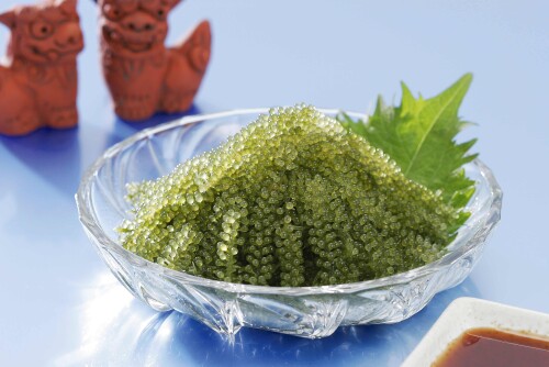 SQUARE Market『ショップ沖縄』期間限定オープン！（11/24～11/30）