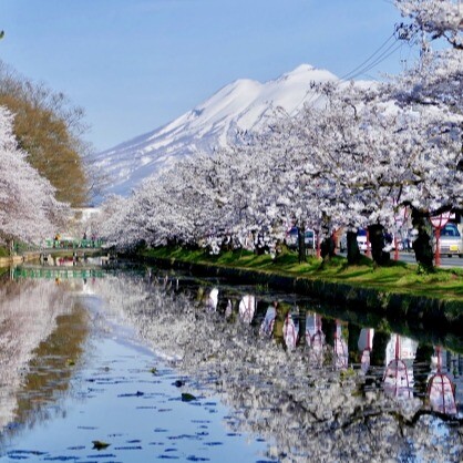～桜を愛でる旅～　①青森県　