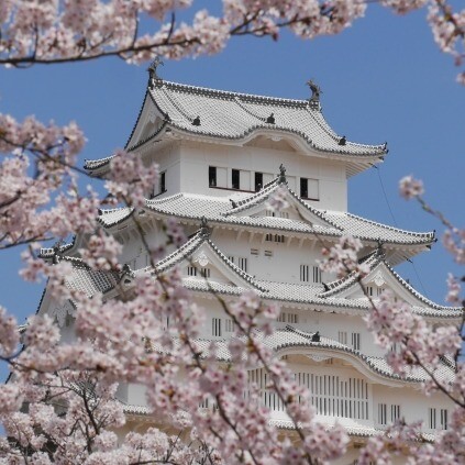 ～桜を愛でる旅～　③兵庫県