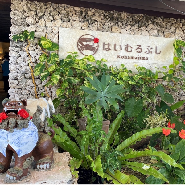 ハネムーンにおすすめ🌺小浜島🌺